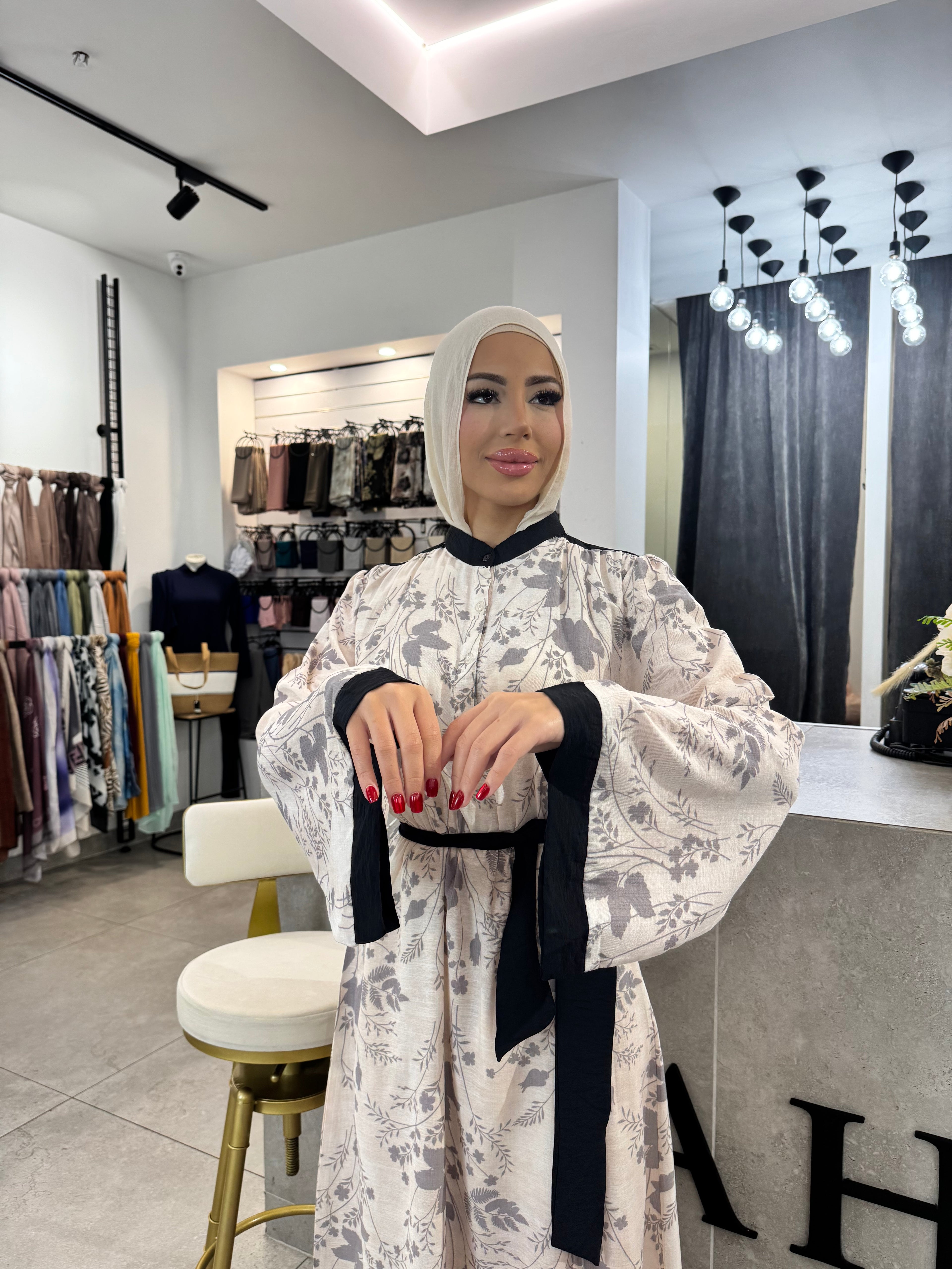 Sabreena Dress